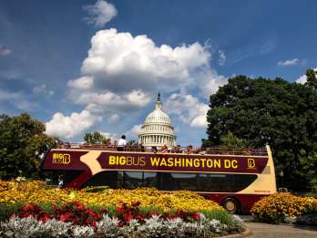 Washington DC: Hop-on-Hop-off-Stadtbus mit Flusskreuzfahrt