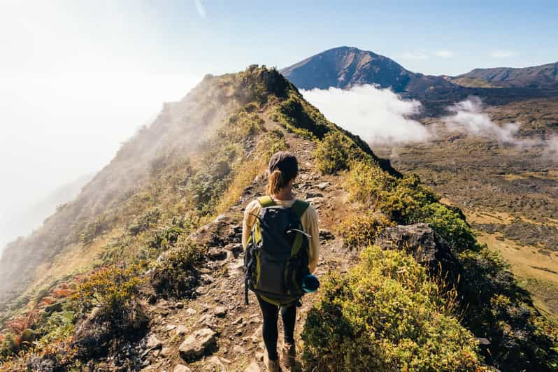 Haleakala National Park: Crater And Summit Hike | GetYourGuide