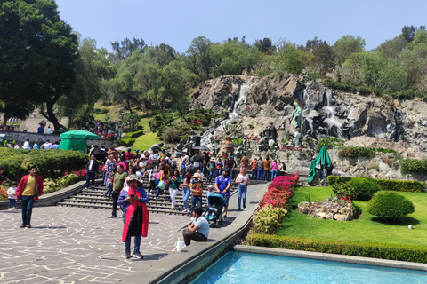 Basilica of our Lady of Guadalupe: Private Tour + TransportPrivate Group Tour (From 2 to 12 persons)