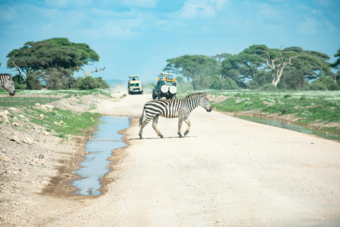 Zanzibar: 3-dniowe szybkie safari z przelotem do Serengeti