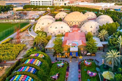 Dubai: Butterfly Garden Admission Ticket