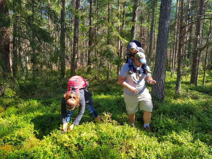 From Riga: Slītere National Park Latvian Nature Hiking Tour | GetYourGuide