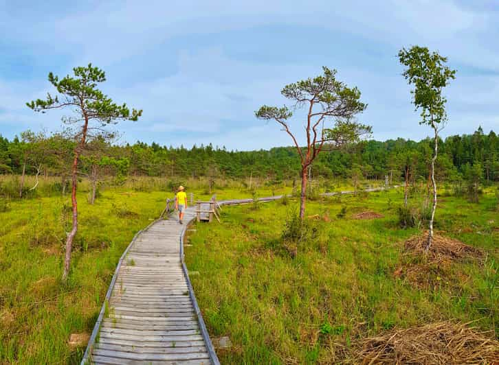 From Riga: Slītere National Park Latvian Nature Hiking Tour | GetYourGuide