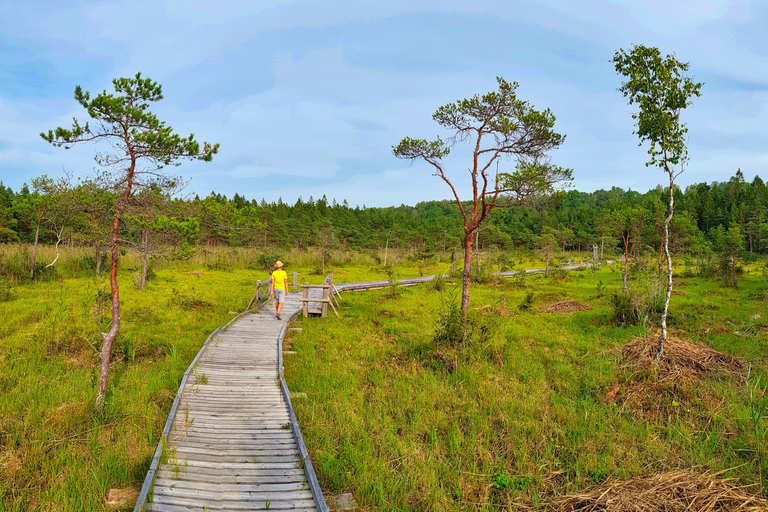 Desde Riga: tour de senderismo natural de Letonia por el parque nacional de Slītere