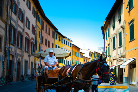 Pisa: privé-ontdekkingstocht van een halve dagPrivétour + scheve toren klim add-on