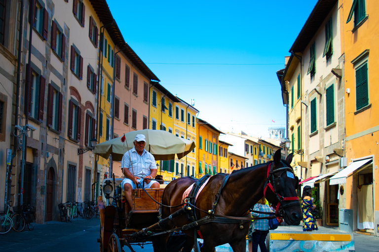 Pisa: privé-ontdekkingstocht van een halve dagPrivétour + scheve toren klim add-on