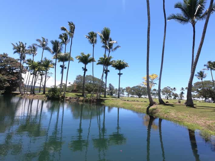 Hilo Wailoa River to King Kamehameha Guided Kayaking Tour GetYourGuide