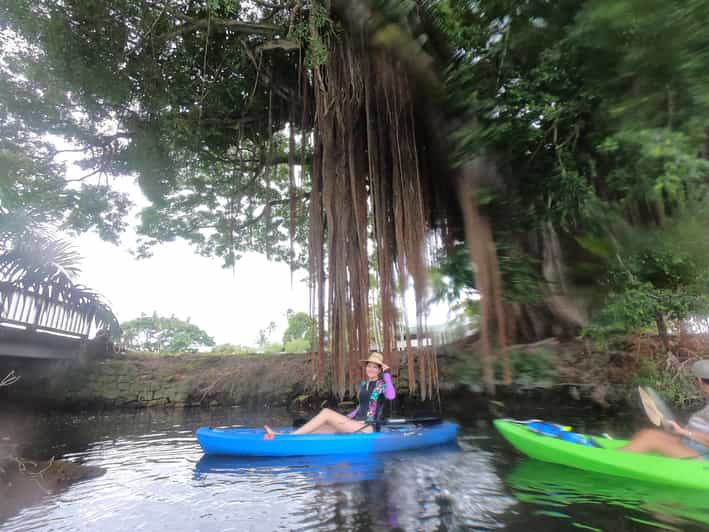 Hilo Wailoa River to King Kamehameha Guided Kayaking Tour GetYourGuide