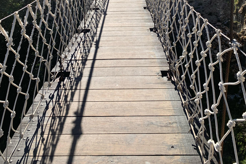 Depuis Mexico : sources chaudes et bains thermaux dans les grottes de TolantongoAu départ de Mexico : sources chaudes et bains thermaux dans les grottes de Tolantongo