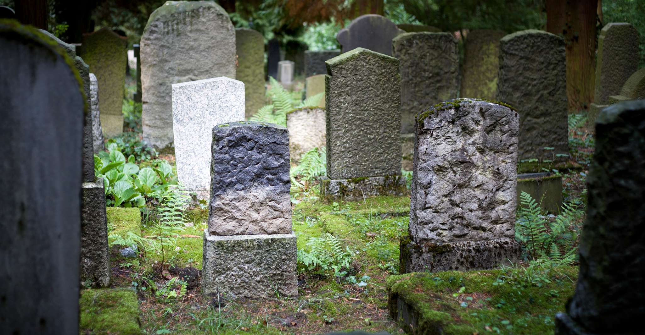 Santo Agostinho, Excursão Fantasma Guiada para Famílias - Hizvo