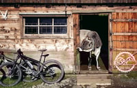 Sorrento, Tour de vin et de gastronomie de vélo électrique - Housity