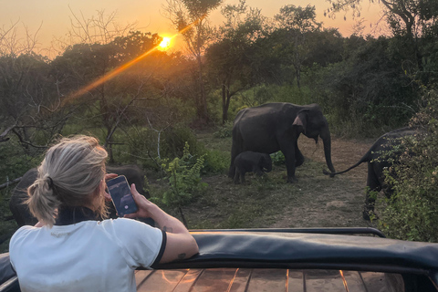 Sigiriya: Ethical Hurulu Elephant Safari With Guide Ethical Elephant Safari Without Entrance Ticket
