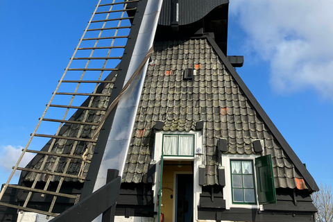 Amsterdam: Kinderdijk and Rotterdam Guided Tour in Japanese
