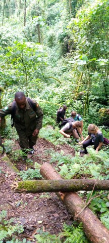 Visit Packed Lunch juggle Experience-Bwindi Impenetrable Forest in Bwindi Impenetrable National Park