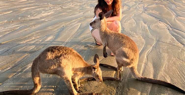 The Best Airlie Beach Hiking Free Cancellation Getyourguide