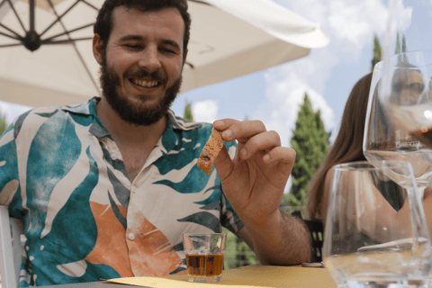 From Florence: Tuscany, Siena, San Gimignano & Winery Lunch Private Tour: Tuscany, Siena, San Gimignano & Winery Lunch