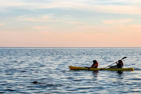 From Sharm: Discover Dahab With Snorkeling &amp; Optional Diving