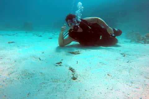 Hurghada: Diving or Snorkeling Boat Tour w/ Lunch and Drinks