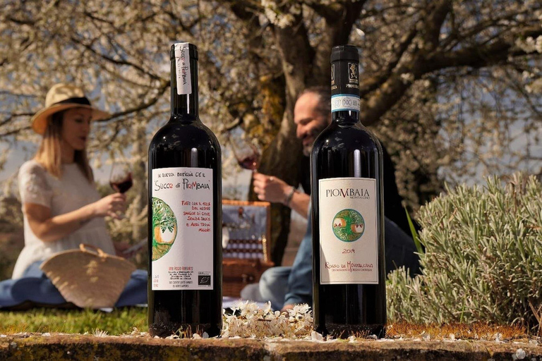 San Gimignano: Chianti & Montalcino Wine Tasting & Lunch