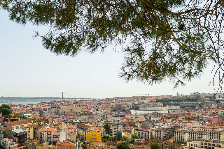 Lisboa: Excursão guiada privada de Tuk Tuk elétrico com degustações