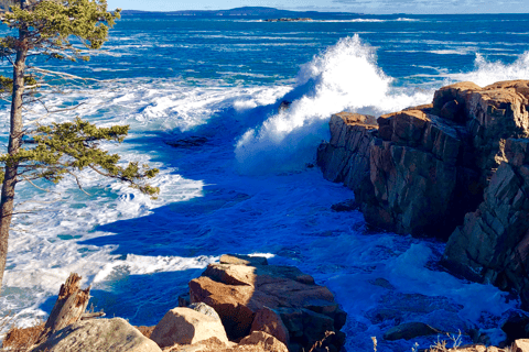 Acadia National Park: Narrated Bus Tour