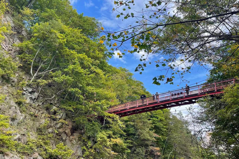 札幌：頭大仏、洞爺湖、登別日帰りツアー