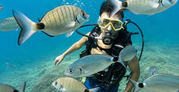 Alanya: Scuba Diving Boat Trip with Lunch