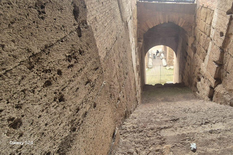 Rome: Colosseum, Roman Forum and Palatine Hill Tour