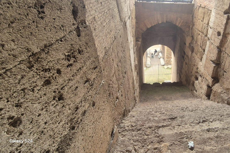 Rome: Colosseum, Roman Forum and Palatine Hill Tour