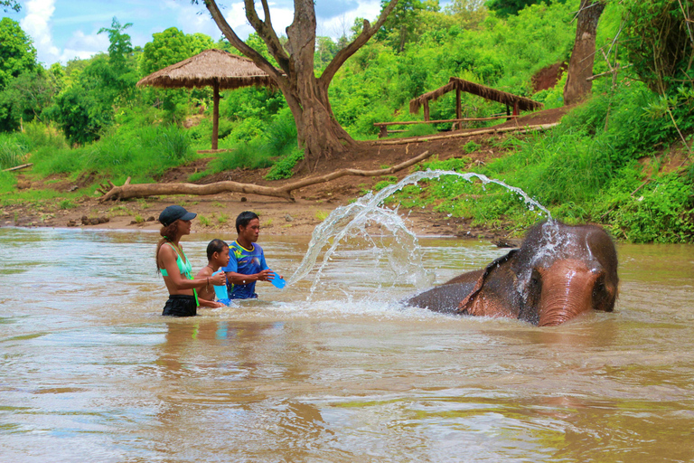 Chiang Mai: Santuario degli elefanti Living Green e rafting con i bambùChiangmai: Santuario degli Elefanti e Bamboo Rafting