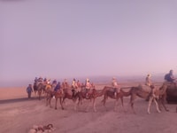 Marrakesch, Kamelsafari in der Agafay Wüste mit Mittagessen - Hizvo