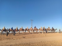 Marrakesch, Kamelsafari in der Agafay Wüste mit Mittagessen - Hizvo