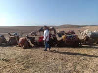 Marrakesch, Kamelsafari in der Agafay Wüste mit Mittagessen - Hizvo
