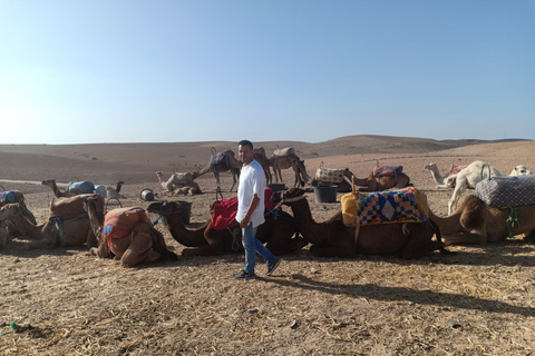 Marrakech: safari in cammello nel deserto di Agafay con pranzo