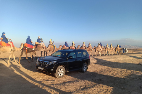 Marrakech: safari in cammello nel deserto di Agafay con pranzo