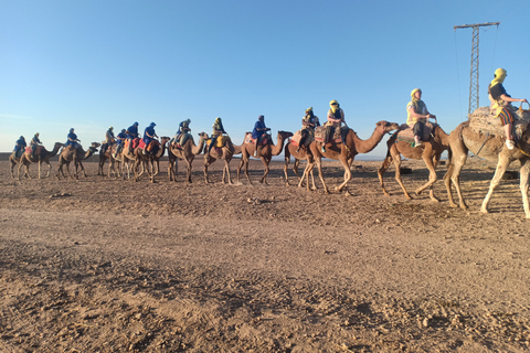 Marrakesz: Camel Safari na pustyni Agafay z lunchem