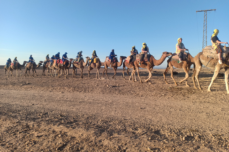 Marrakech: safari in cammello nel deserto di Agafay con pranzo