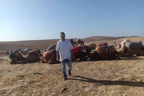 Marrakech: safari in cammello nel deserto di Agafay con pranzo