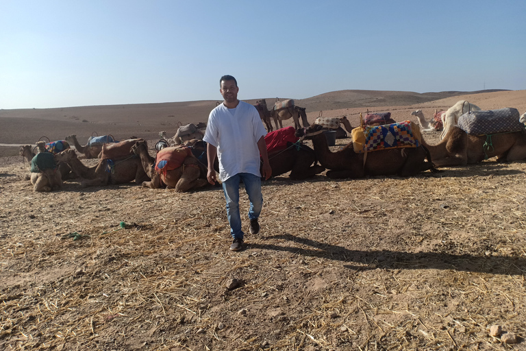 Marrakech: safari in cammello nel deserto di Agafay con pranzo