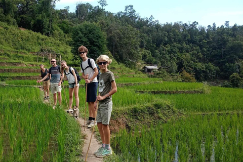 Chiang Mai: Elephant Sanctuary &amp; Jungle Trek w/ WaterfallSanctuary,Trekking,waterfall and bamboo rafting