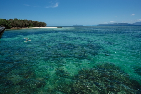 Z Cairns: popołudniowy rejs na zieloną wyspęRejs popołudniowy z wycieczką łodzią podwodną