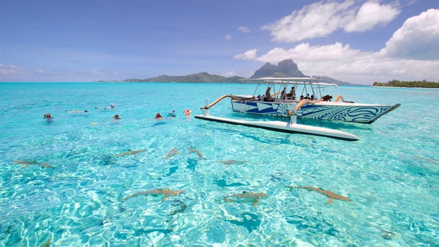 Visit Bora Bora Lagoon Tour and Snorkeling Experience in Bora Bora, French Polynesia