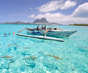 Bora Bora: Lagoon Tour and Snorkeling Experience