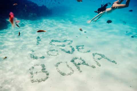 Bora Bora: Lagoon Tour and Snorkeling Experience