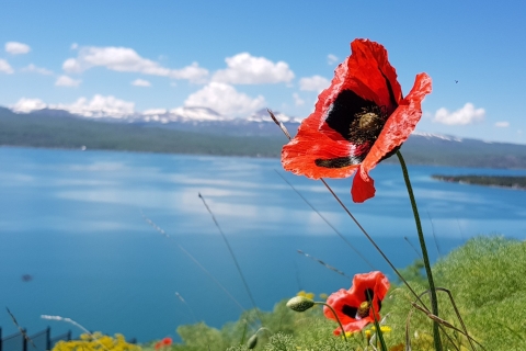 Ereván: tour privado al lago Sevan y la ciudad balneario de Dilijan