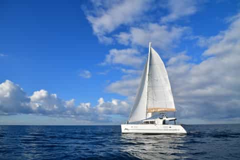 Marseille: Calanques 5-Hour Cruise and Lunch