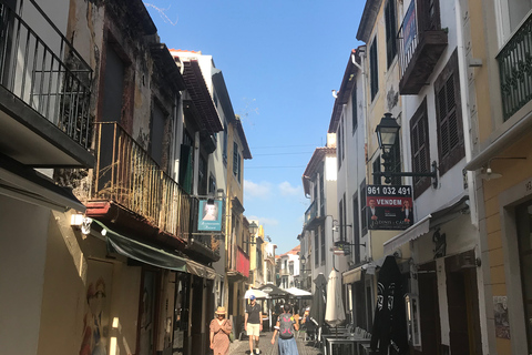 Madeira: tour guidato a piedi con degustazioni e vino