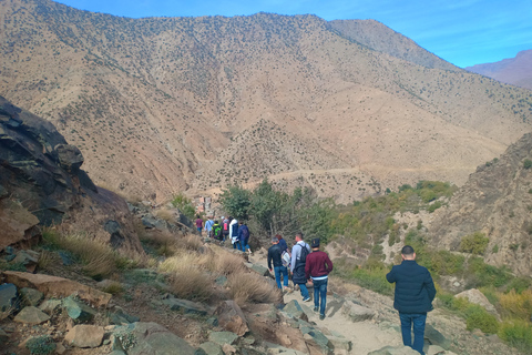 Excursão Vale de Ourika, vilarejos berberes, montanhas do AtlasDe Marrakech: viagem de um dia ao vale de Ourika e às montanhas do Atlas