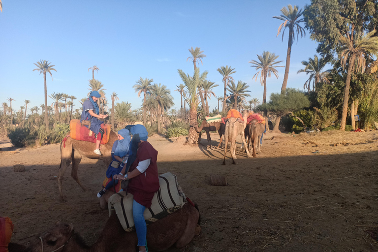 Excursão Vale de Ourika, vilarejos berberes, montanhas do AtlasDe Marrakech: viagem de um dia ao vale de Ourika e às montanhas do Atlas