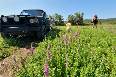 From Cavtat: Konavle Valley Off-Road Jeep Safari with Lunch